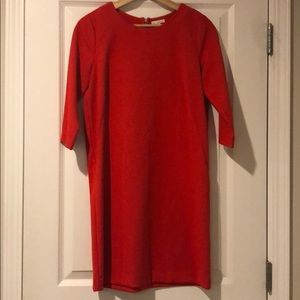 Gap red dress.